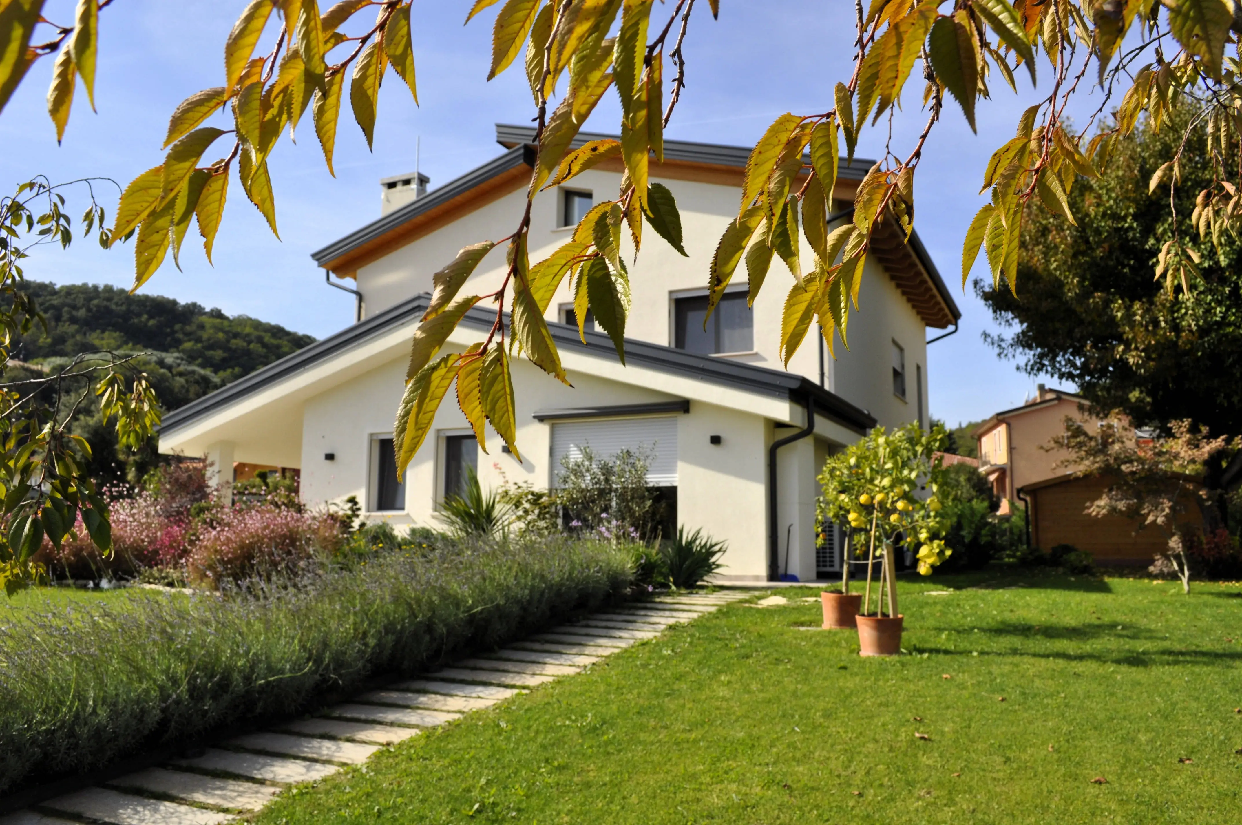 Immagine della galleria