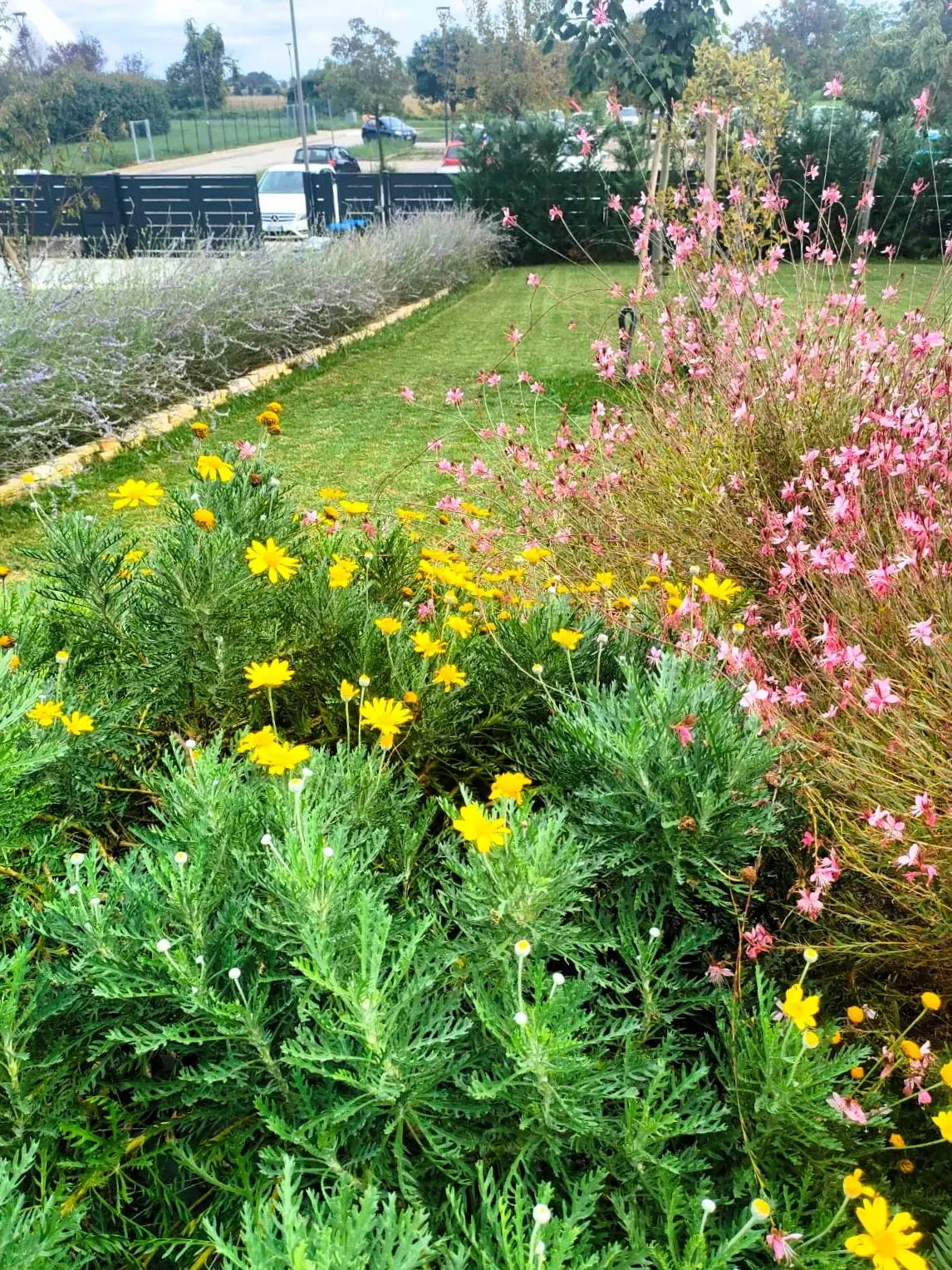 Immagine della galleria