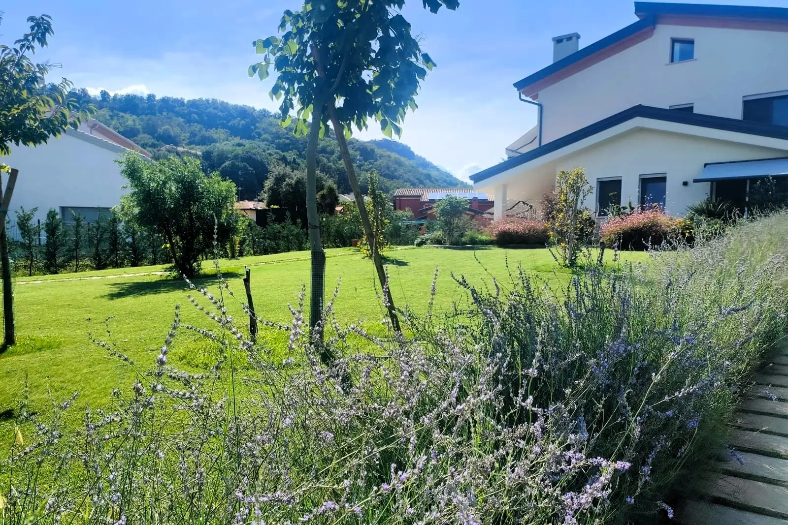 Immagine della galleria