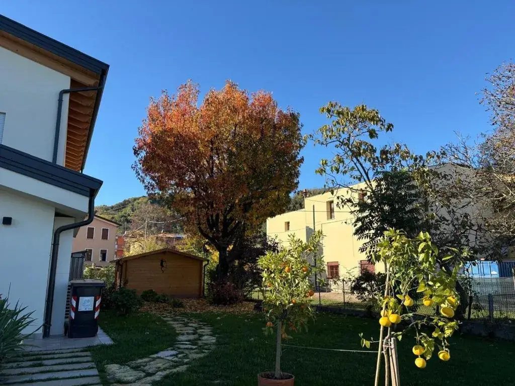 Immagine della galleria