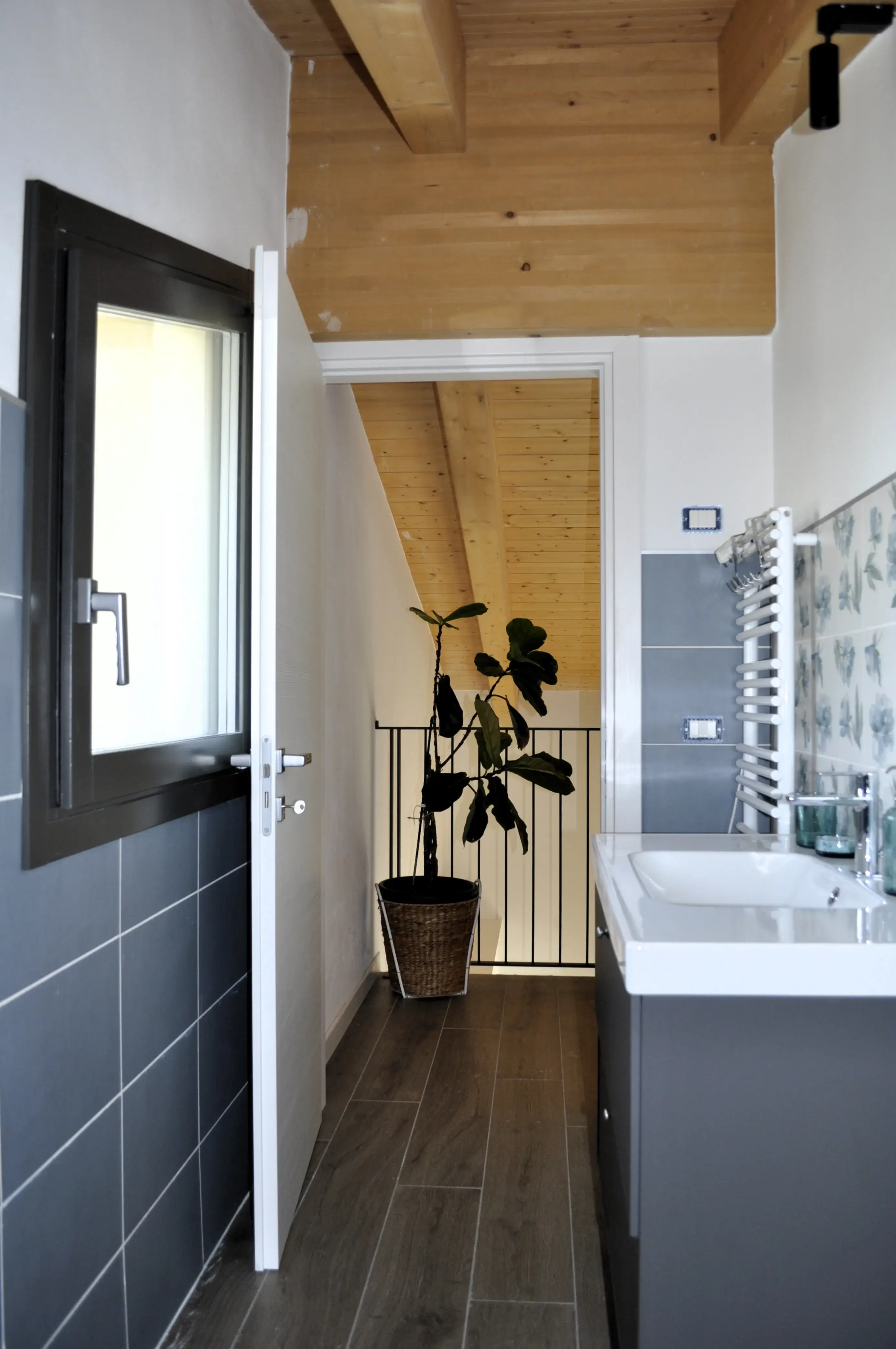 Immagine della galleria